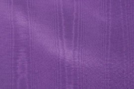 04_purple_bengaline